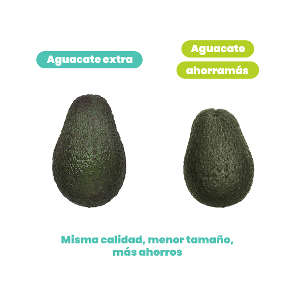 Aguacate ahorramás - 2