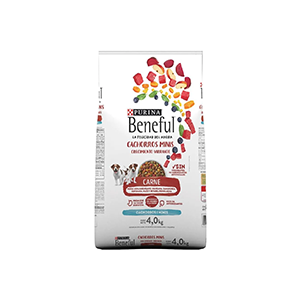 Alimento seco para cachorro raza pequeña sabor carne Beneful 4Kg