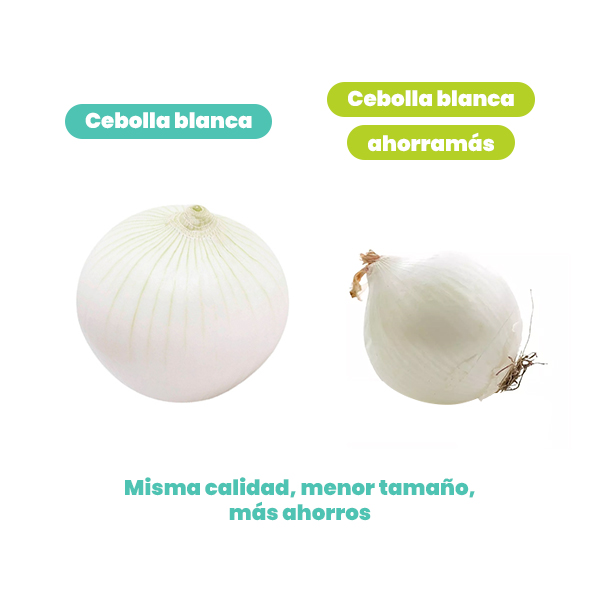 Cebolla blanca ahorramás - 2