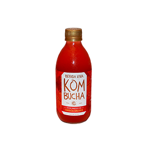 Kombucha sabor jamaica Bebida Viva 377ml