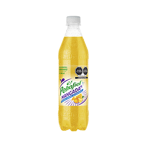 Agua mineral mangada Peñafiel Adas 600ml