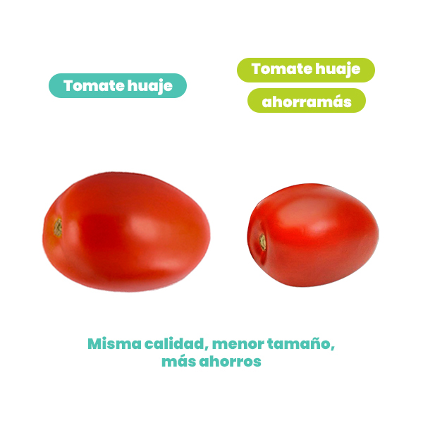 Tomate huaje ahorramás - 2